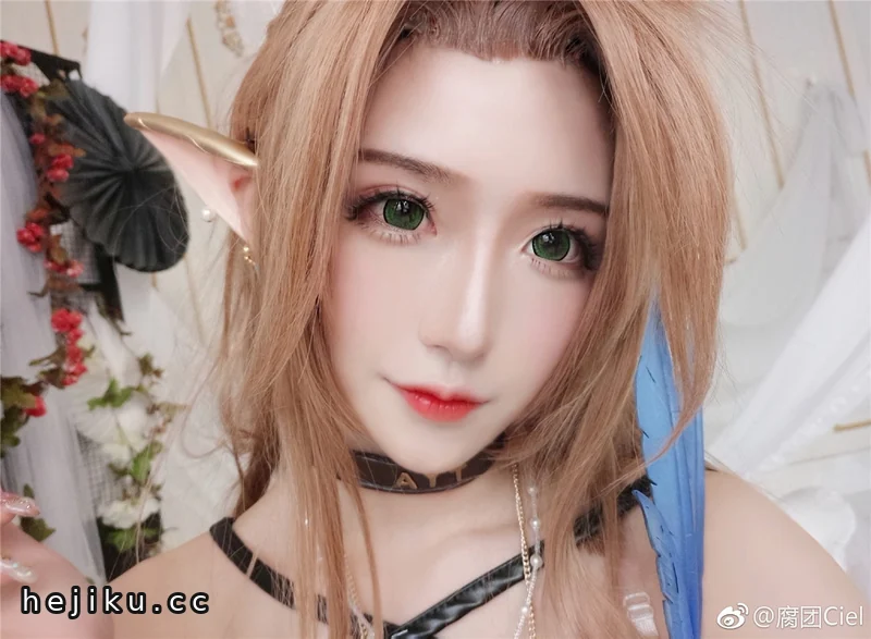 腐团儿cos图片合集打包，战术后退的经典造型都在这